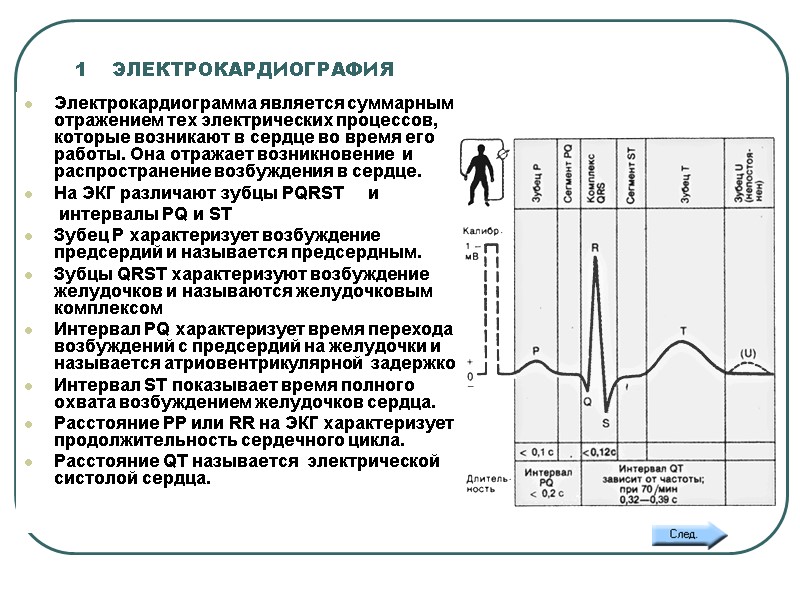 1    ЭЛЕКТРОКАРДИОГРАФИЯ  Электрокардиограмма является суммарным отражением тех электрических процессов, которые